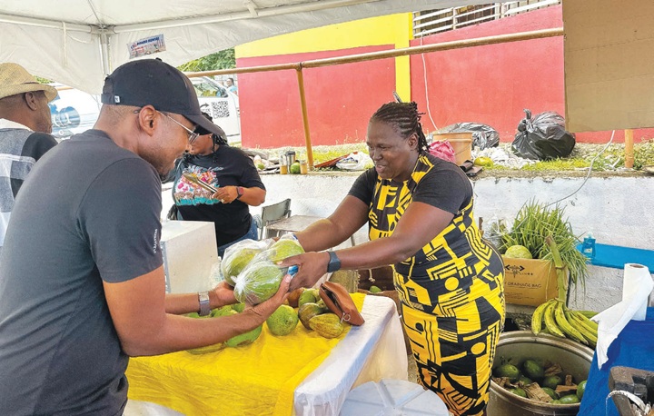 Mocho Pear Festival targets rural growth