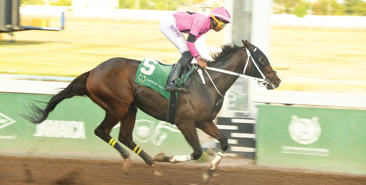 The Prince’s Spur destroys Typwriter field by 14½ lengths under hand ride